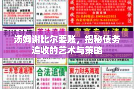 汤姆谢比尔要账，揭秘债务追收的艺术与策略