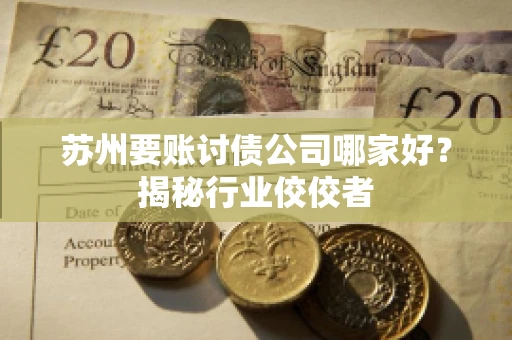 苏州要账讨债公司哪家好？揭秘行业佼佼者