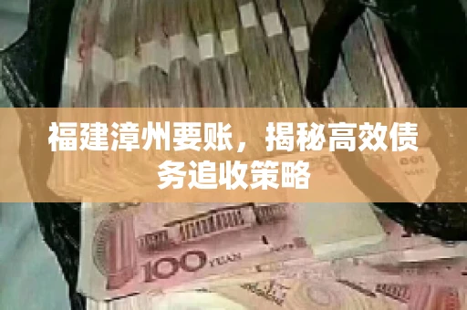 福建漳州要账，揭秘高效债务追收策略