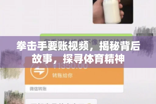 拳击手要账视频,揭秘背后故事,探寻体育精神 拳击手要账视频,揭秘背后故事,探寻体育精神