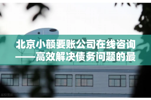 北京小额要账公司在线咨询——高效解决债务问题的最佳途径