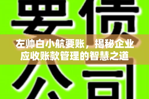 左帅白小航要账，揭秘企业应收账款管理的智慧之道
