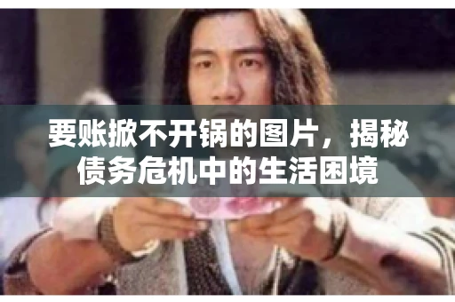 要账掀不开锅的图片，揭秘债务危机中的生活困境