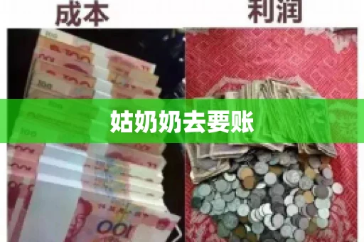 姑奶奶去要账