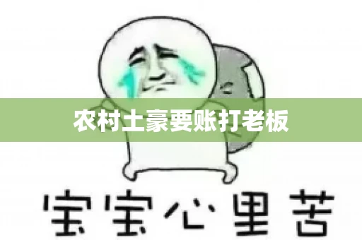 农村土豪要账打老板