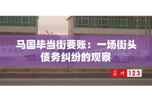 马国毕当街要账：一场街头债务纠纷的观察