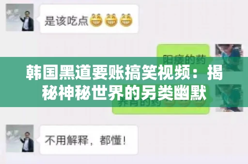 韩国黑道要账搞笑视频：揭秘神秘世界的另类幽默
