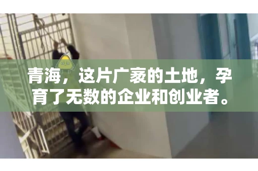 青海，这片广袤的土地，孕育了无数的企业和创业者。然而，在商业活动中，难免会遇到一些欠款问题。这时候，找一家专业的要账公司就显得尤为重要。那么，青海专业要账公司的电话是多少呢？今天，我就来和大家聊聊这个话题。