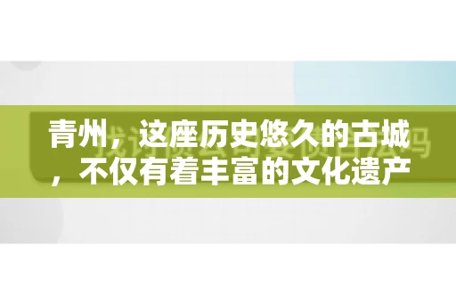 青州，这座历史悠久的古城，不仅有着丰富的文化遗产，也是商业活动频繁的地方。对于许多企业来说，应收账款的管理是日常运营中不可或缺的一环。那么，青州那里有要账的公司呢？今天，我们就来聊聊这个话题。
