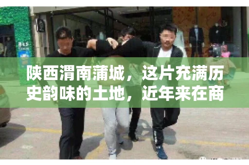 陕西渭南蒲城，这片充满历史韵味的土地，近年来在商业活动中也展现出了其独特的活力。其中，关于“陕西渭南蒲城要账”的话题，成为了不少企业关注的焦点。今天，我们就来聊聊这个话题，看看在蒲城，要账的那些事儿。