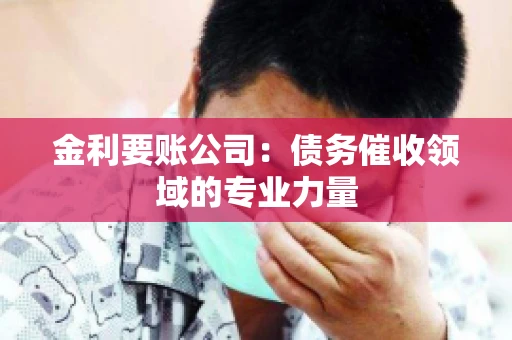 金利要账公司：债务催收领域的专业力量