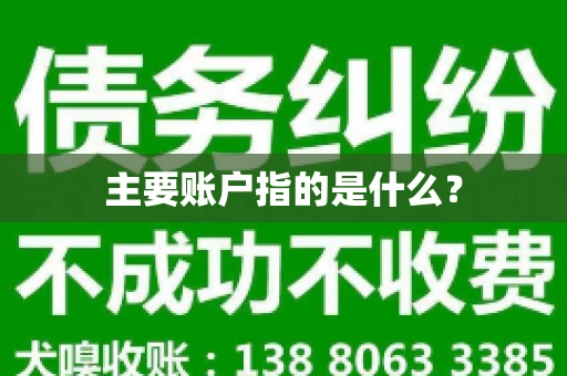 主要账户指的是什么？