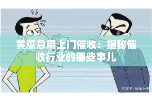 黄瓜急用上门催收：揭秘催收行业的那些事儿