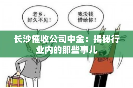长沙催收公司中金：揭秘行业内的那些事儿