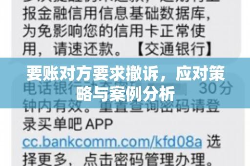 要账对方要求撤诉，应对策略与案例分析